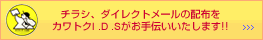 �`���V�A�_�C���N�g���[���̔z�z���J���g�NI .D .S������`���������܂�!!